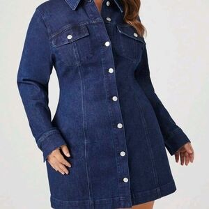 Forever 21 Blue Long Sleeve Dress